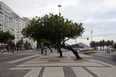 calçadão copacabana burle marx