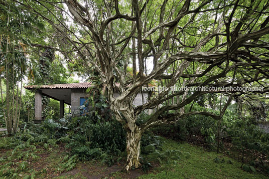 sítio roberto burle marx burle marx