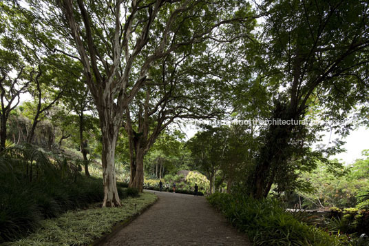 sítio roberto burle marx burle marx