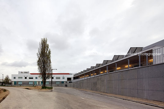 escola joaquim m. carvalho inês lobo