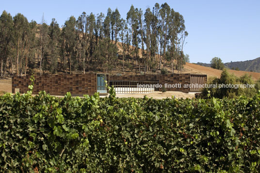 morandé winery martin hurtado