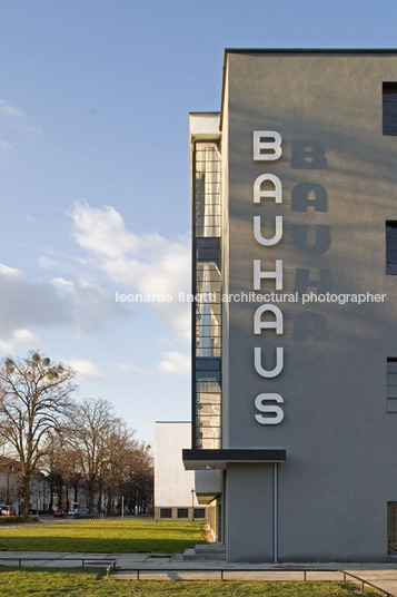 bauhaus walter gropius