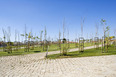 parque caxinas alvaro siza