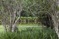 parque da cidade roberto burle marx burle marx