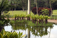 parque da cidade roberto burle marx burle marx