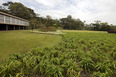 parque da cidade roberto burle marx burle marx