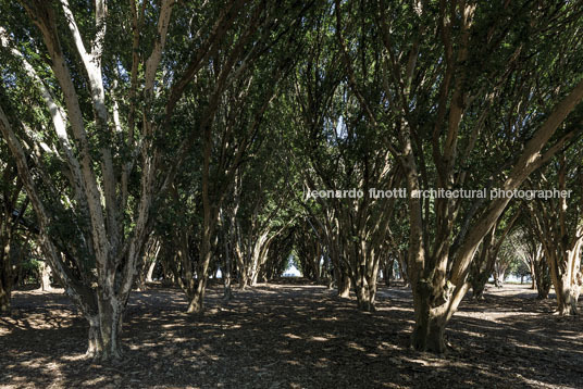 fazenda das palmeiras cva arquitetura