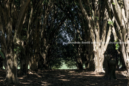 fazenda das palmeiras cva arquitetura