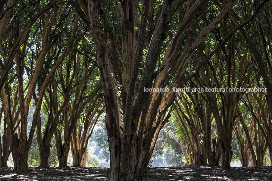 fazenda das palmeiras cva arquitetura