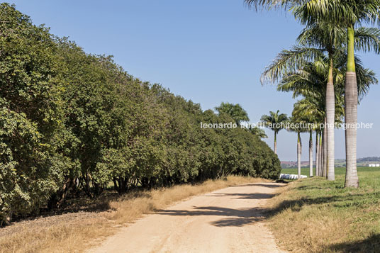 fazenda das palmeiras cva arquitetura