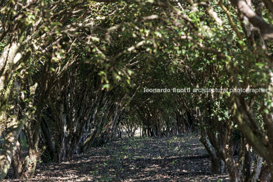 fazenda das palmeiras cva arquitetura