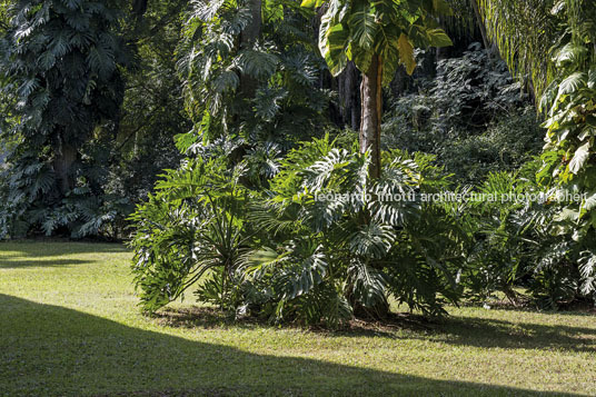 fazenda das palmeiras cva arquitetura