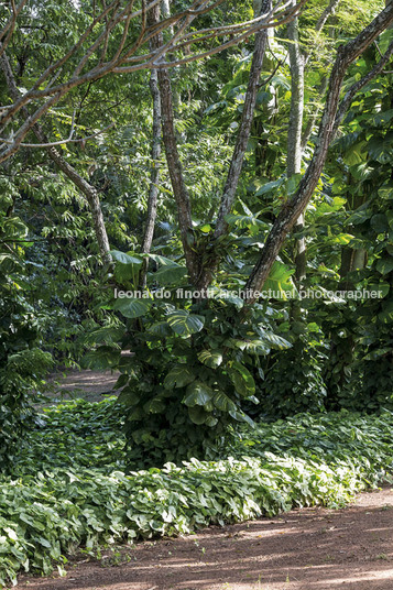 fazenda das palmeiras cva arquitetura