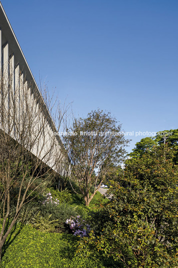 instituto ling isay weinfeld