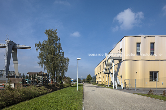 neubau industriehalle hobimag masswerk architekten