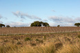 viña edén winery fábrica de paisaje