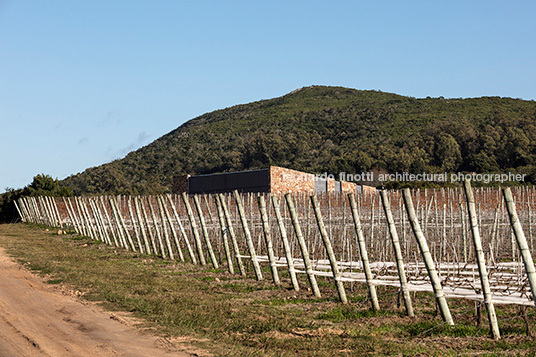 viña edén winery fábrica de paisaje