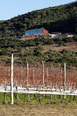 viña edén winery fábrica de paisaje