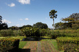 residência família brennand burle marx