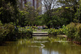 casa forte burle marx