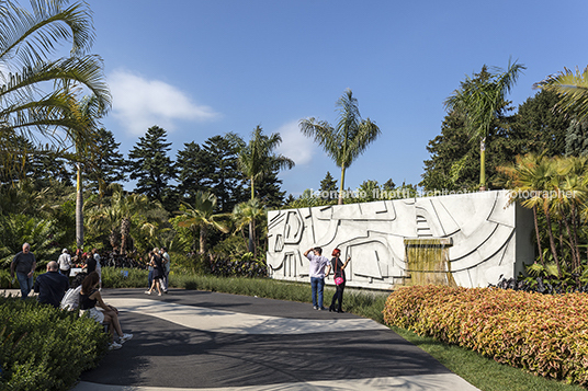 brazilian modern: the living art of rbm - nybg burle marx