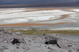 salar do uyuni 