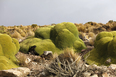 salar do uyuni 