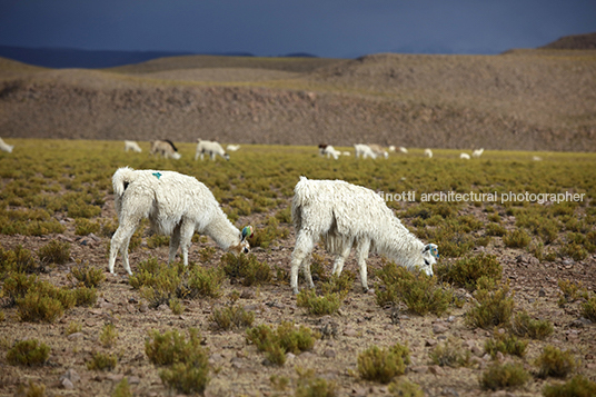 salar do uyuni 