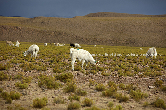 salar do uyuni 