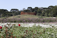 mátria parque de flores ja8 arquitetura e paisagem