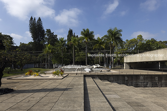 frans krajcberg: por uma arquitetura da natureza - mube diego matos