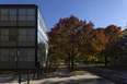 iit wishnick hall mies van der rohe