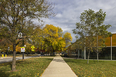 iit mccormick tribune campus center oma