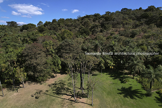 giuseppe penone: elevazione - inhotim GIUSEPPE PENONE