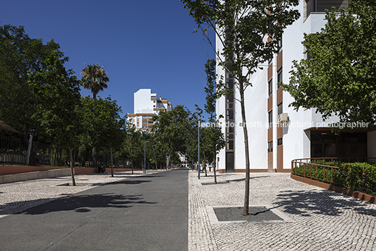 requalificação quinta de santa clara ternullomelo