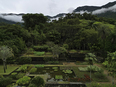 fazenda vargem grande burle marx