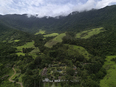 fazenda vargem grande burle marx