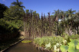 fazenda vargem grande burle marx