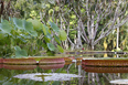 fazenda vargem grande burle marx