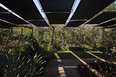 galeria yayoi kusama - inhotim mach arquitetos