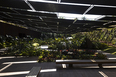 galeria yayoi kusama - inhotim mach arquitetos