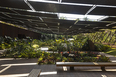 galeria yayoi kusama - inhotim mach arquitetos